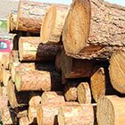 Holzpolter bereit für die Weiterbearbeitung